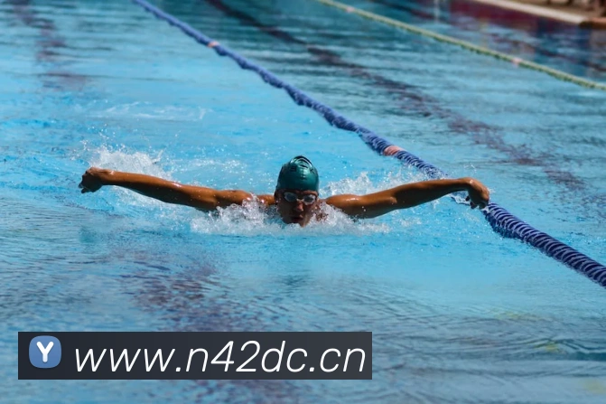 leyu官网入口发展历程